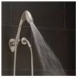 Oxygenics Shower Handheld BN